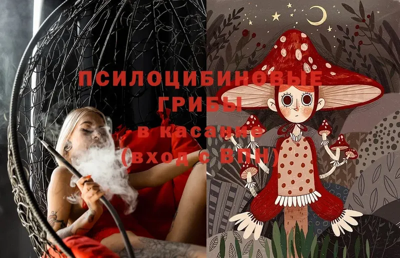 Галлюциногенные грибы Magic Shrooms  блэк спрут ссылка  Чита 